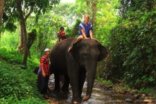 Elefantenreiten in Thailand